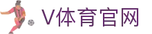 V体育 (VSport)官方网站 - 世界杯历届荣誉数据资产墙